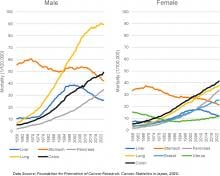 Long-term trends in cancer-specific mortality in Japan between 1958 and 2022, by sex. Mortality rates for major cancers among males and females, including liver (blue, including both viral- and non-viral-related liver cancer), stomach (orange), pancreatic (grey), lung (yellow), colon (black), breast (light blue), and uterine cancers (green). Liver cancer mortality increased until the early 2000s and subsequently declined, contrasting with continuing increases in mortality from several other major cancers.