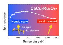 The spin dynamics as a function of temperature in CCRO