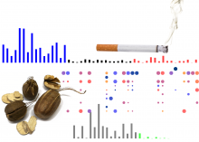 Collage: Mutational signatures of cigarette smoking and aristolochic acid, a carcinogen in some herbal medicine.