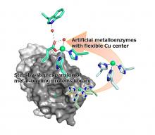 Artificial metalloenzyme created with improved stereoselectivity