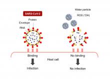 Nano-sized electrostatic atomized water particles destroy SARS-CoV-2 envelope, protein, and RNA