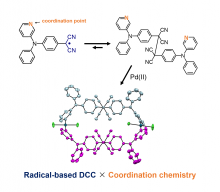 Combining dynamic covalent chemistry and coordination chemistry to synthesize new macrocyclic molecules