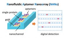 Principle of Nanofluidic Aptamer Nanoarray (NANa)