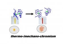 Thermo-/mechano-chromism originating from monomer-dimer transformation