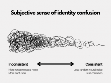 Subjective sense of identity confusion and brain noise
