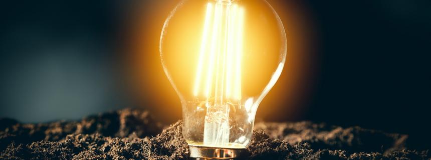 light bulb on soil