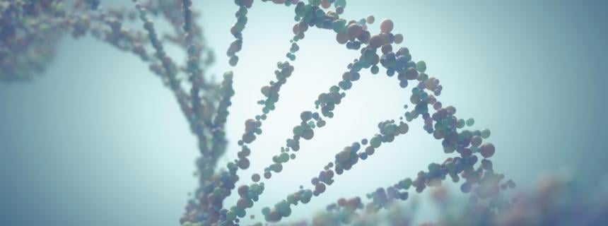 DNA