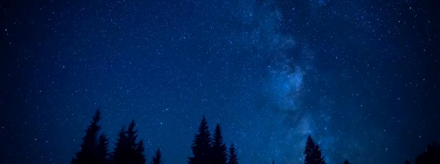 Stars and forest at night