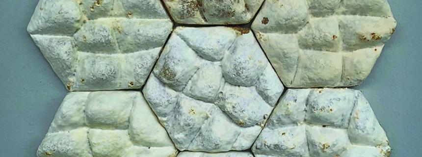 Sample fungus tiles 