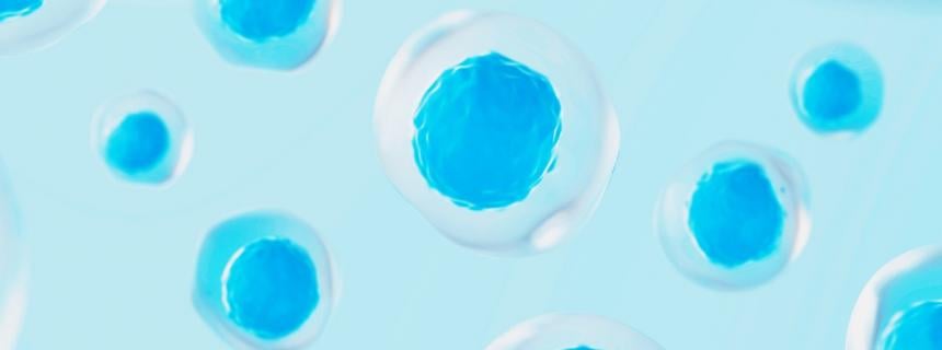 cells