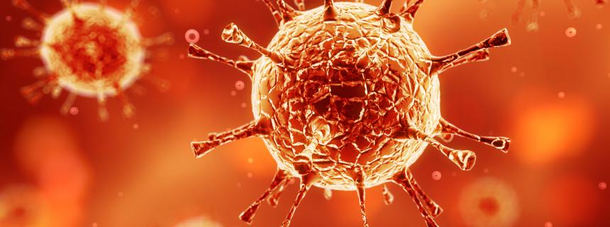 virus cells