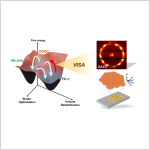 Unlocking highly oriented soft quasicrystals through a hidden nonequilibrium assembly pathway