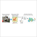 AI and Wastewater DNA-Based Mapping Helps Identify Sewer Pipes at Risk of Corrosion