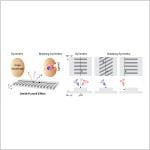Plain silicon grating reveals a hidden “twist” in light from electron beams