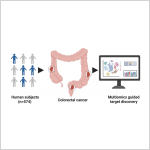 Rethinking the mechanism behind metastatic colorectal cancer
