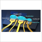 One extra quantum dot helps balance speed and stability in spin qubits
