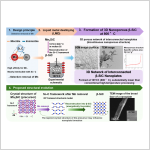 Liquid Metal Dealloying Creates Nanoporous Silicon Carbide at Just 800°C