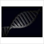 Japan's genome-editing law sets a global ethics challenge