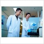 A research team led by Professor Chan Kui-ming from the Department of Biomedical Sciences at CityUHK, discovered that H2BE113K, a missense H2B mutation, promotes colony formation and lung metastasis of breast cancer.
