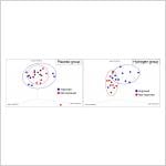Gut microbiome may help explain why sleep improvement varies after hydrogen supplementation