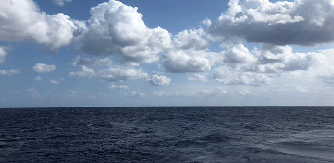 Kuroshio Current May Be Responsible for Climatic Discomfort in