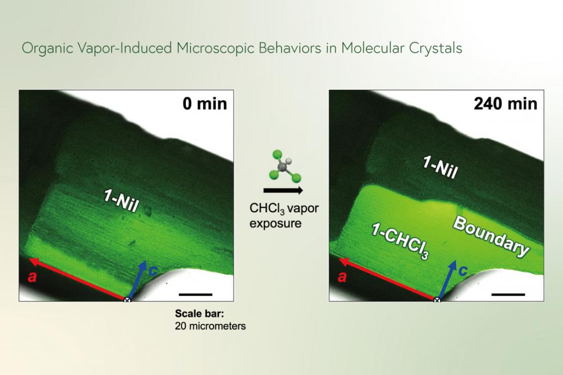 Small changes, strong impact: novel findings in phase transitions ...