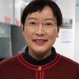 Dr Carol Lin