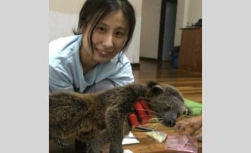 Prof. Miyabi Nakabayashi