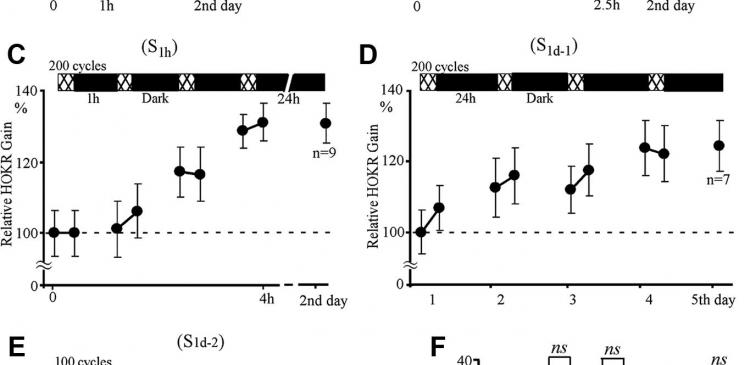Figure-2
