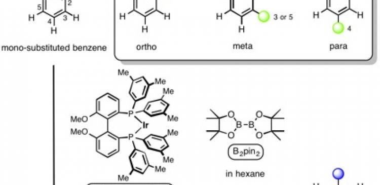 para-Selective borylation of mono-substituted benzene