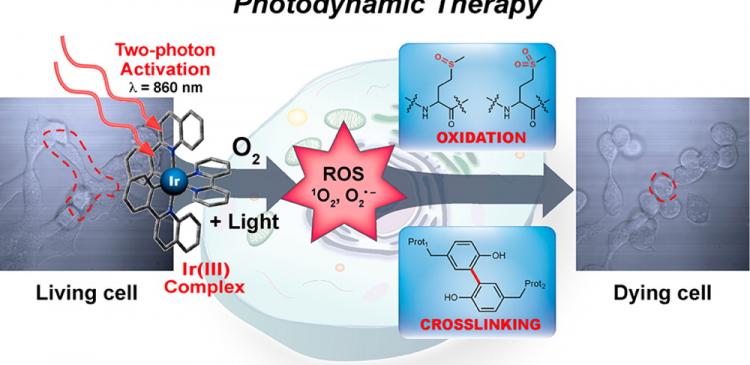 light-based cancer treatment research 2