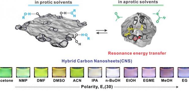 Hybrid carbon nanostructures 2