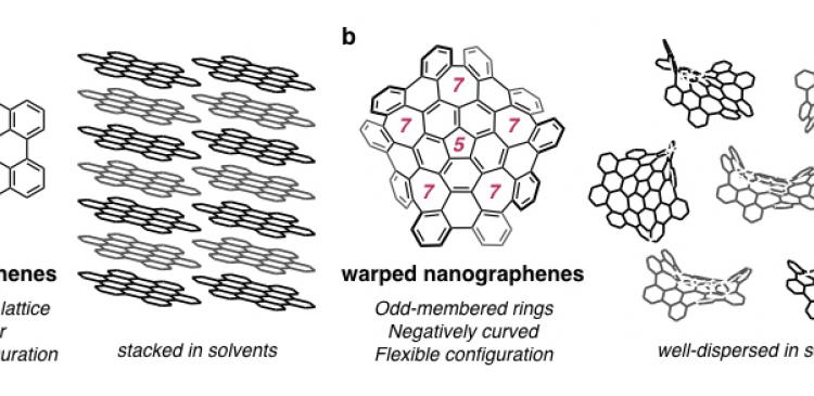 Structure and properties of nanographenes and warped nanographenes. 