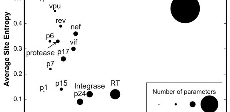 The primary sequence of the envelope protein gp160