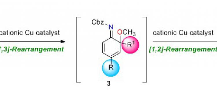 Efficient Synthesis of Multi-substituted Anilines by Domino Rearrangement