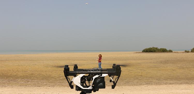 Drones on beach 2. 