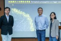 Dr. Sheng-hong Chen and the research team from the Institute of Molecular Biology, Academia Sinica.