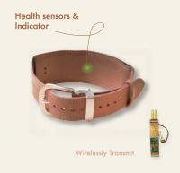 Smart pet wearable necklace