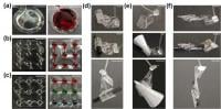 Various flexible 3D structures produced by selective bonding technology