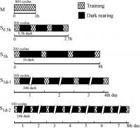 Figure-1