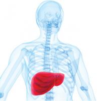 8Jul-liver1