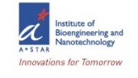 IBN Logo