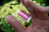 Flexible, organic solar cells