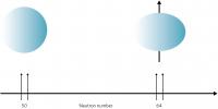 19Aug-Nuclei1