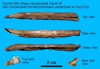 6Sep-Pterosaur1