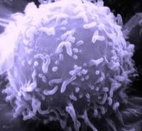 8Sep-Cancer1