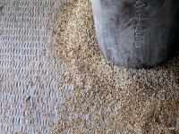 rice husks