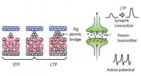 Inorganic synapse