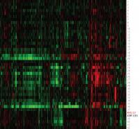 Protein production