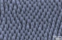 nanopillars